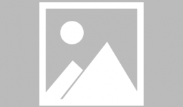 主播吃瓜爆料伙伴娱乐,吃瓜爆料，伙伴娱乐背后的精彩故事